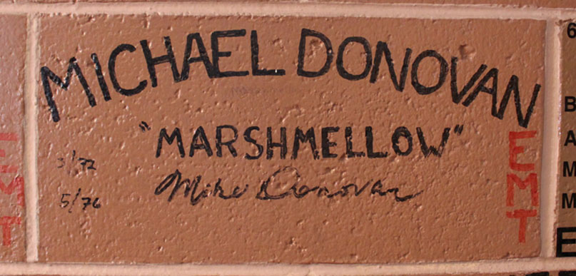 michael-donovan